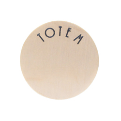 Totem Lockets | Floating Charm Lockets | Gold Totem Disc